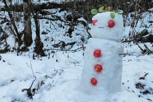 【邓生沟冰雪世界第二期】遇见冬天的第一场雪，一起堆雪人打雪仗！