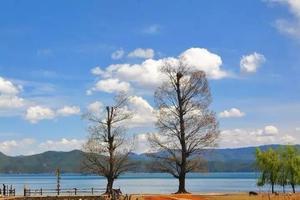 【元旦节泸沽湖】不平庸的蓝色，梦里梦到醒不来的梦！