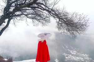 【春节轻奢露营Glamping】高品质的方式看云海、日出、雪山、星空，云海牧歌露营基地！