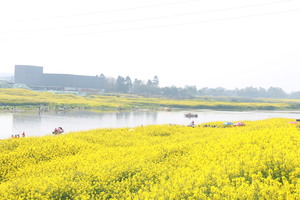 【摄影江南水乡花海】摄影伴花海，吹花送远香，小江南穿越旅拍活动！