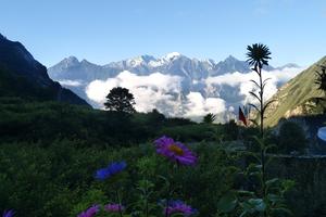 【千年羌寨+巴谷森林】春天最好的风景，隐藏在这个未被商业开发的千年羌寨！