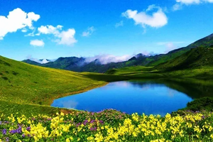 【端午节九顶山花海】漫步羌山花海，九顶山云海露营！