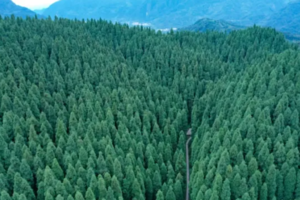 【中坝森林+蟠龙谷】漫步中坝原始森林，摄影山水秘境蟠龙谷瀑布群！