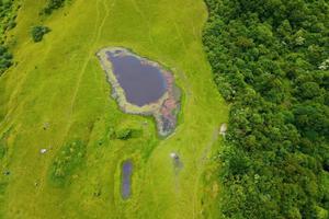 【夏天的甘海子】夏天怎么能不去文艺的高山草甸，柔美的青草和婀娜的小花让你来了就不想走！！
