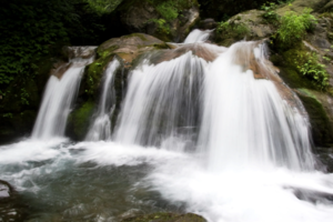 【大飞水避暑】徒步森林公园、玩水、观瀑布、偶遇小动物，欢迎走进夏天的清凉秘境！的