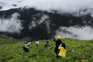 【巴朗山花海】最漂亮的穿越，在美丽的云海下穿越盛开的花海！