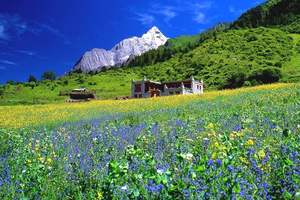 【四姑娘山双沟避暑】邂逅东方阿尔卑斯山，双沟全景深度游！