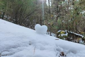 【巴朗山邓生沟冰雪世界】探秘冬天的原始森林，一起堆雪人打雪仗，和野生动物来一次亲密接触！