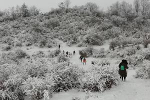 【熊猫坪雾凇】在美丽的高山草甸熊猫坪，观赏雾凇、雪山、云海！