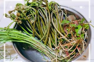 【采摘野菜和折耳根】在山花盛开的季节，去元宝山挖野菜摘折耳根！