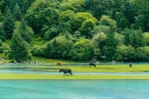 【五一莲花湖三期】藏在深山中的天堂营地、野生温泉、草原湿地应有！