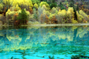 【五一九寨沟三日游两期】中华水景之王，人间仙境九寨沟！