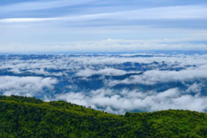 【5月2日雾中山】在云雾中登山，摄影美丽云海，打卡千年古寺开化寺！