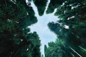 【海窝子+中坝森林】徒步电影童话般的原始森林，品尝土味美食！