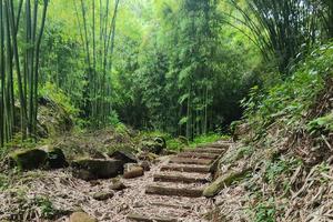 【小桃源茶马古道】徒步宁静的世外桃源纸坊沟，探寻曾经繁荣的茶马古道！