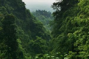 【6月10日-青城侧山的小众秘境】圆明宫穿越至玉清宫，不被大众打扰的道家清修之地，享受真正的幽静！