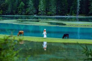 【端午川西“喀拉斯”莲花湖】藏在深山中的草原湿地，户外爱好者最喜欢的野生温泉！