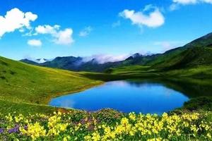 【端午九顶山2期】漫步羌山花海，云海、星空、日出、原始森林、露营！