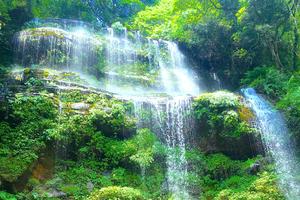 【7月15日天台山森林公园】一路登山一路耍水，观美丽瀑布，呼吸负氧离子！ 