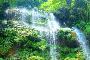 【7月23日天台山森林公园】一路登山一路耍水，观美丽瀑布，呼吸负氧离子！