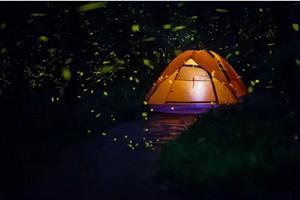 【8月12日-清平萤飞谷】隐藏在深山里的童话小镇清平镇，萤火虫主题森林公园萤飞谷！