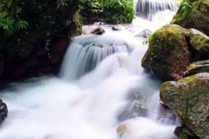 【8月26日-大飞水森林公园】徒步西岭雪山前山大飞水森林公园，摄影美丽瀑布偶遇可爱小动物，打卡网红小镇！