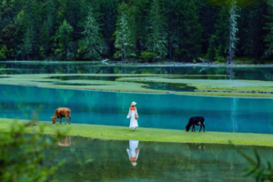 【国庆莲花湖】藏在深山中的天堂营地、野生温泉、草原湿地应有！9.29-10.3天天发团3日游。