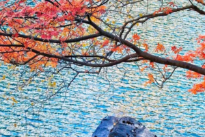 【国庆松坪沟】碧水、瀑布、溪流、海子 赏三沟九海十四景！9.29/10.1出发2日游。