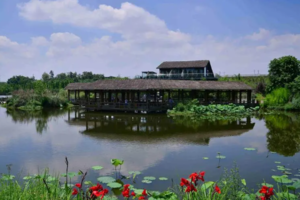 【国庆10月6日-天鹅湖公园穿越至白鹭湾湿地】假期最后一天，一起徒步一起欢乐聚餐！