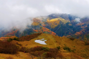【10月22日-甘海子油画世界】金黄色的高山草甸，金秋的油画世界，文艺青年最喜欢的拍照地！