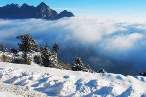 【1月28日-小天台山特惠活动】小众而静谧的冰雪秘境，登顶观看云海翻腾和魅力雾凇，享受冬日的休闲和治愈！