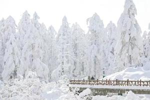 【2月3日特惠-瓦屋山冰雪王国】最美桌山的巅峰颜值，冰雪、云海、雾凇、冰挂、高山湖泊、瀑布装扮的冰雪嘉年华！