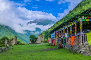 【清明2日游2期-孟屯河谷】星空露营，追寻夜空中最亮的星（品藏式火锅）！