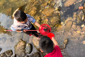 【5月3日-两溪汇+上元古道】在清澈见底的两溪汇捉蝌蚪抓螃蟹，轻徒春意盎然的上元古道森林秘境！