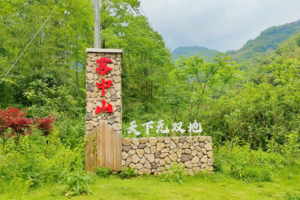 【5月4日-雾中山】在云雾中登山，摄影美丽云海，打卡千年古寺开化寺！