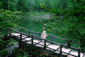 【端午节-喇叭河2日游2期】川西版奈良公园，一步一景，逗趣野生动物。