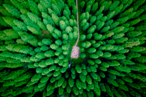 【7月21日特惠-海窝子+中坝森林】摄影烟雨古镇，徒步电影童话世界里的暮光原始森林，品味土味美食！