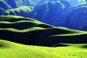 【7月13日至7月21日9天-醉美伊犁独库】伊犁最美季，草原花海、峡谷荒漠、古城遗迹，邂逅梦幻童话世界！