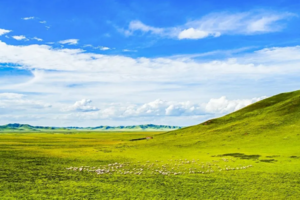 【暑期甘南草原环线7日游】寻梦香巴拉王国秘境，若尔盖大草原+扎尕那+桑科草原+黄河第一湾+莲宝叶则！