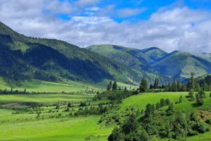 【暑期12人精品团-玉科草原】摄影玉科草原+龙灯草原+日月潭+白玉山+八美+理小路+凉台沟，每周四出发！