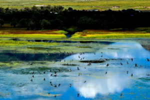 【暑期8月16日-8月18日-若尔盖3日游】中国最美的高寒湿地草原遇见最美的季节，打卡九曲黄河第一湾！