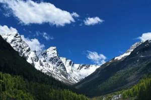 【8月3日至8月4日-玛嘉沟+银厂沟】野菌自由，超小众川西秘境，清凉避暑捡菌子！