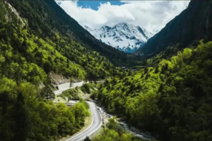 【理小路2日游】成都周边最美雪山公路，川版"独库公路"--理小路，野菌采摘自由！