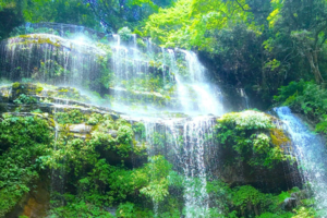 【8月17日-天台山森林公园】一路登山一路耍水，观美丽瀑布，呼吸负氧离子！