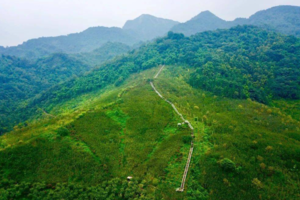 【8月18日亲子主题-柒月麓山】亲手制作竹筒饭，徒步红叶天梯，摄影十里竹海！