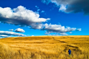 【9月15日至9月23日-旅拍呼伦贝尔9日游】深寻觅最美秋色，去草原腹地，感受北国之秋，尽享惬意时光~