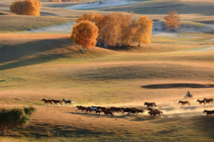 【9月21日至9月27日-乌兰布统秋韵7日游】日升月潜，沙湖敖包，神仙秋景！