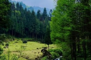 【9月1日特惠-龙窝子】小众避暑胜地，享有清、绿、凉、静、美的风景特色，小红书博主疯狂推荐的宝藏线路。