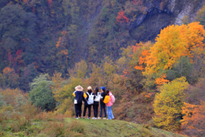 【10月19日-卧龙油画世界】姹紫嫣红层林尽染，登老牛牧场观满沟彩林，摄影山顶雪景！