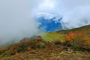 【11月3日单身青年主题-云中岭油画世界】金黄色的卧龙大草原，360度观看彩林油画世界，远眺云海翻腾的连绵山岭！